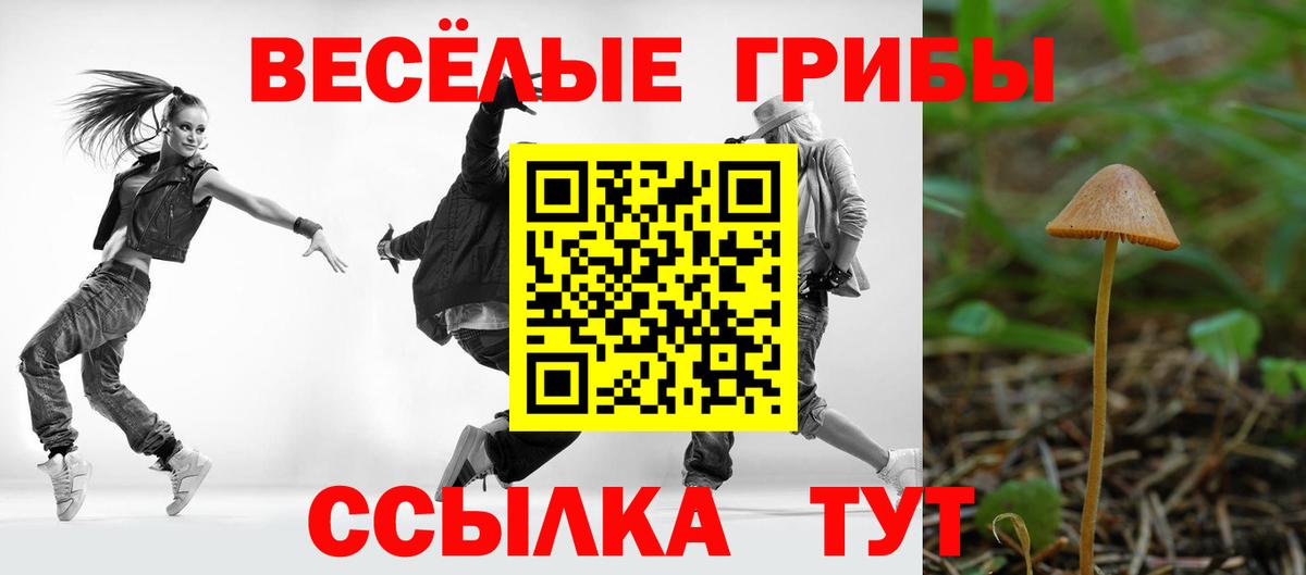 Жигулёвск  Псилоцибиновые грибы GOLDEN TEACHER  Вход с VPN  сколько стоит  Псилоцибиновые грибы Cubensis 