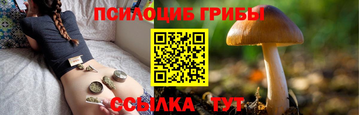 Псилоцибиновые грибы Cubensis Жигулёвск